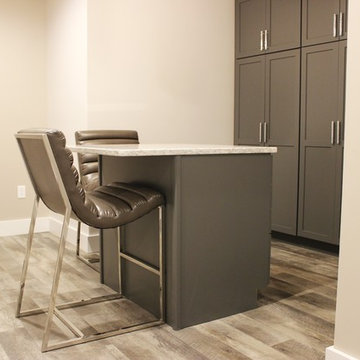 Lower Level Remodel With Home Bar, Spa-like Suite, Craft Room , and Home Gym