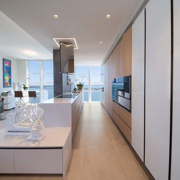 Brickell Penthouse