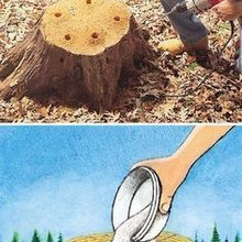 How-To's and DIY