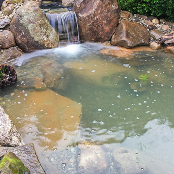 Winter Pond Build