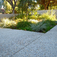 front and back yard