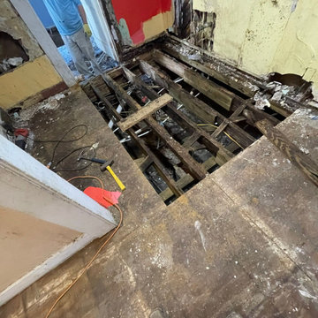 Termite Damage Is at it Again