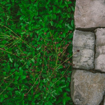 Audubon Certified Backyard Habitat