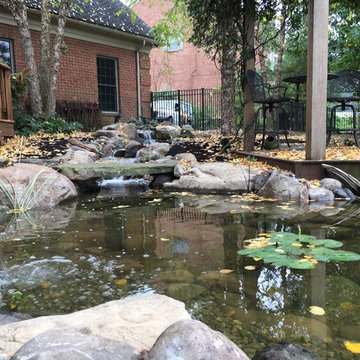 Pond Retrofit