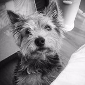 Samara Balanco's photo