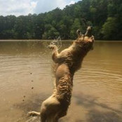 Lisa Spang's photo