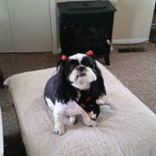 Kathryn Conner's photo