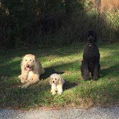 Stephanie Davis's photo