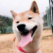 me natsu's photo