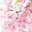 whisperpink