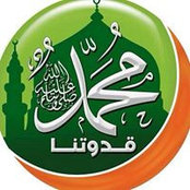 Mostafa Nagar's photo