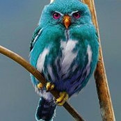 Heba Ahmad's photo