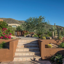 Desert Pool And Landscape