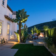 Landscape Ideas