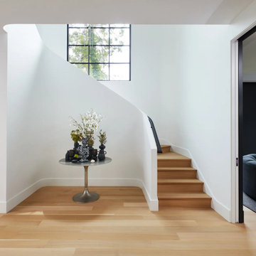 Modern Luxury