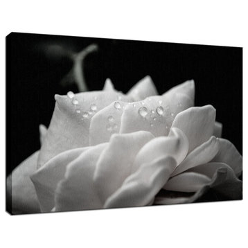 Delicate Rose Floral Nature Photography Canvas Wall Art Print, 18" X 24"