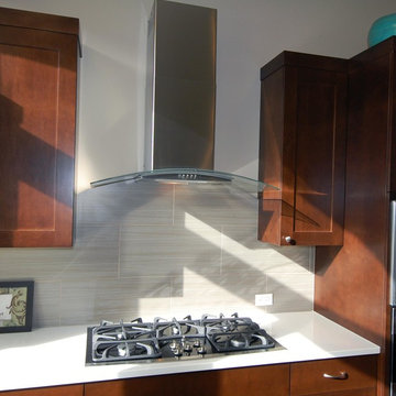 Glass canopy vent hood
