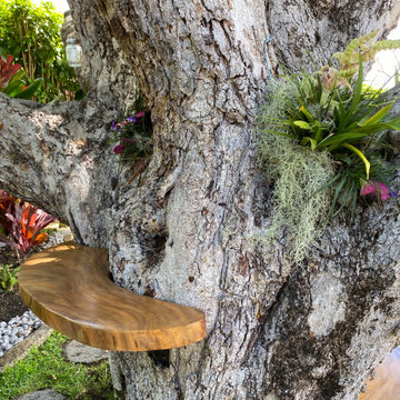 100 Year Old Tree Bench