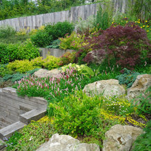 Large Planters