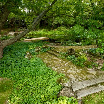 Woodland Falls