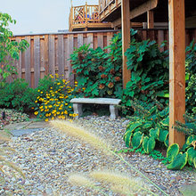 Patio Ideas
