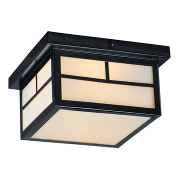 Coldwater 2-Light Outdoor Ceiling Mount
