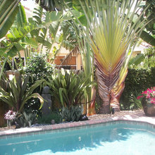 poolside pottery