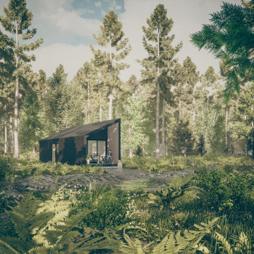 Woodland Cabin