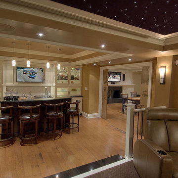 Custom Home Theatre