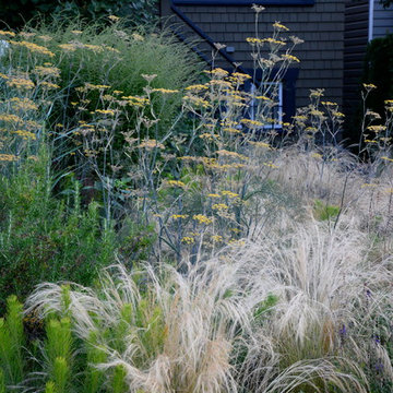 Kitsilano Front Garden