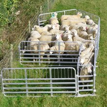 Farm