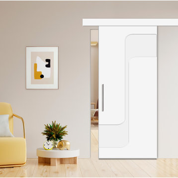 Flush barn door different colors and hardware options CNC engraving designs, 42"x81"