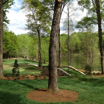 Spartanburg, SC Golf Green with Synthetic Grass and Fringe