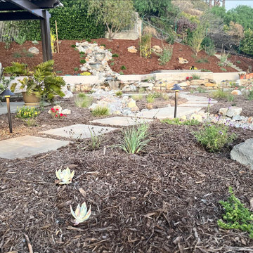 Xeriscape & Native Garden with Waterfall