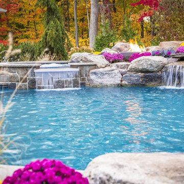 Freeform swimming pool with a raised spa and grotto, Mahwah, NJ