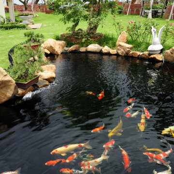 Koi Pond Desing & Build