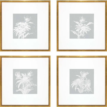 Echinacea Artwork 4-Piece Set