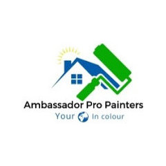 AMBASSADOR PRO PAINTERS