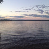 Josephine Nord's photo