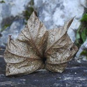 Sabrina Clamens's photo