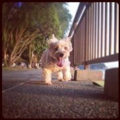 Clair Ng's photo