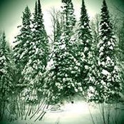 Craig Spaulding's photo