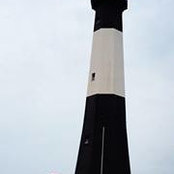 Susan Wright's photo