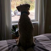 Jody Gleason's photo