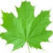 Michael Pourzand's photo