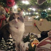 Charles Darden's photo
