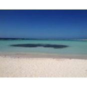 Tulio Hinestrosa's photo
