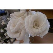 Vicki Nelson's photo