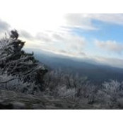 Thomas Moquet's photo