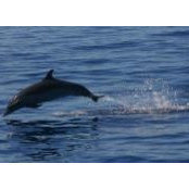 Chris Quinlan's photo